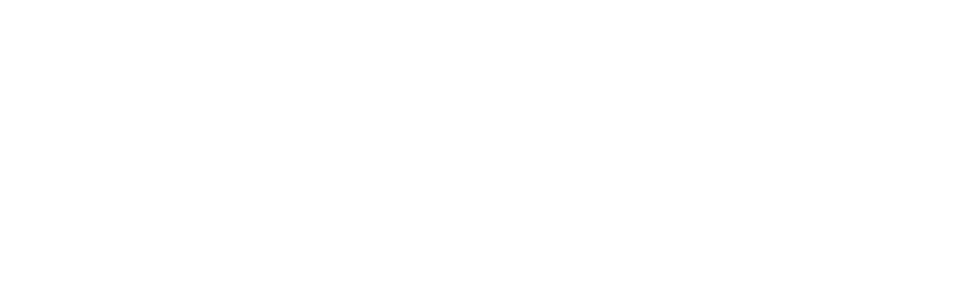 Digital Automotive Technologies